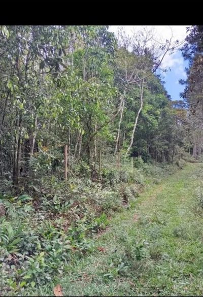 Casa, 30000 m² - Foto 1