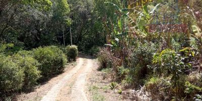 Sítio, 7 hectares - Foto 1