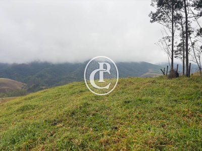 Terreno, 2 hectares - Foto 4