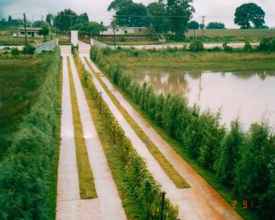 Prédio Inteiro, 54000 m² - Foto 2