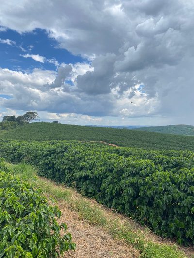 Chácara, 1 quarto, 166 hectares - Foto 4