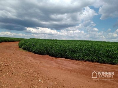 Terreno, 10 hectares - Foto 2