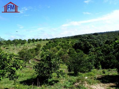 Fazenda - Foto 2