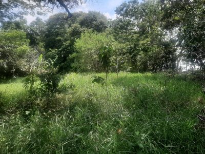 Terreno, 3460 m² - Foto 3