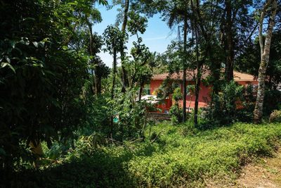 Terreno, 1000 m² - Foto 1