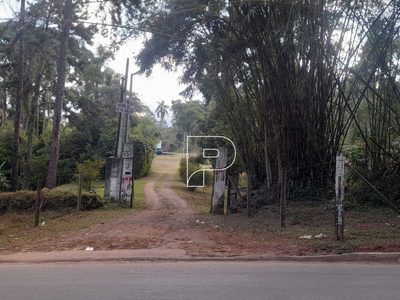 Terreno, 2 hectares - Foto 1