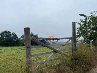 Sítio, 19 hectares - Foto 4