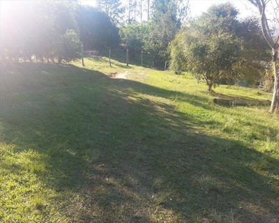 Chácara, 4 quartos, 3 hectares - Foto 4