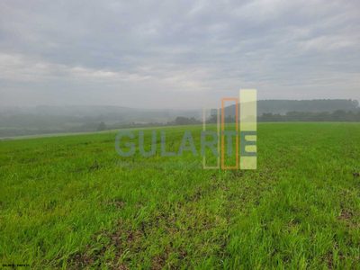 Fazenda, 392 hectares - Foto 1