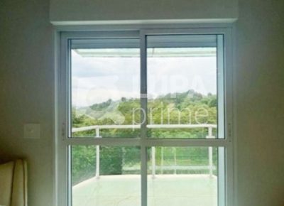 Casa, 4 quartos, 480 m² - Foto 4