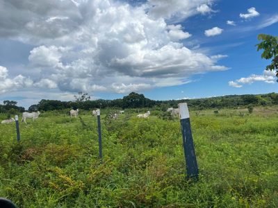 Fazenda, 319 m² - Foto 4