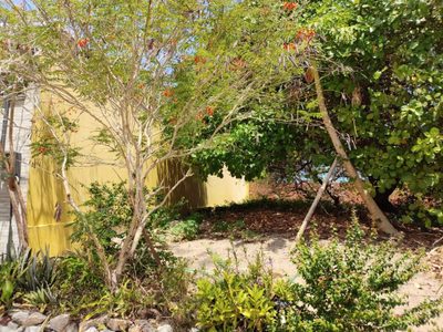 Terreno, 396 m² - Foto 2