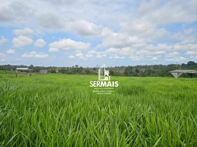 Fazenda, 6077 hectares - Foto 1