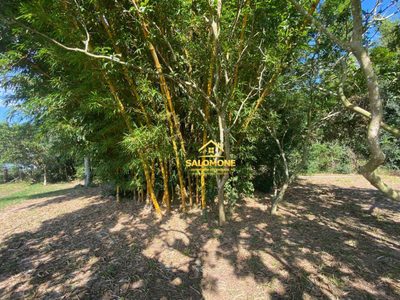 Sítio, 5 quartos, 3 hectares - Foto 4