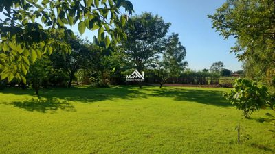 Chácara, 3 quartos, 9 hectares - Foto 2