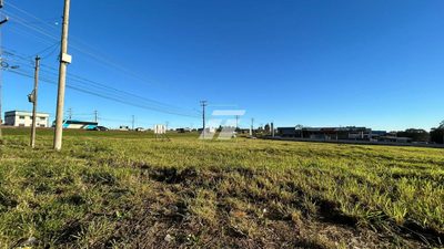Depósito-Galpão - Foto 5
