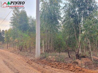 Terreno, 5000 m² - Foto 3