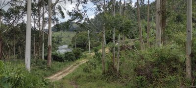 Sítio, 1 quarto, 100 m² - Foto 4