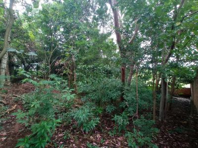 Terreno, 979 m² - Foto 3