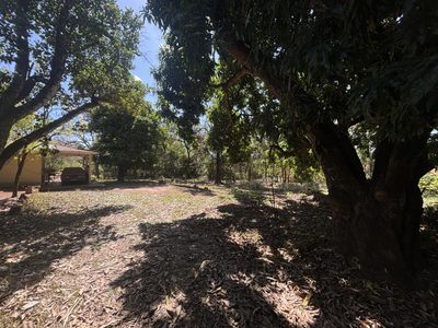 Terreno, 9000 m² - Foto 2