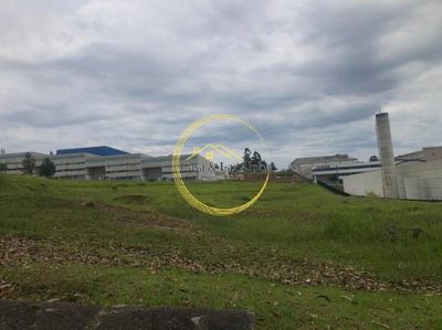 Terreno, 2 hectares - Foto 4