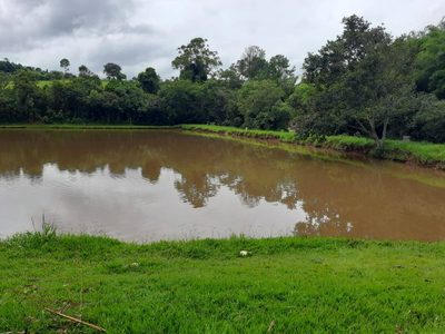 Terreno, 2 hectares - Foto 4