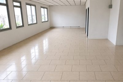 Sítio, 865 m² - Foto 4