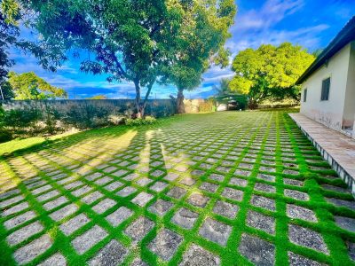 Terreno, 5000 m² - Foto 4