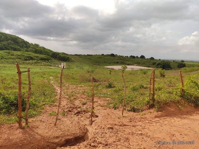 Terreno - Foto 5
