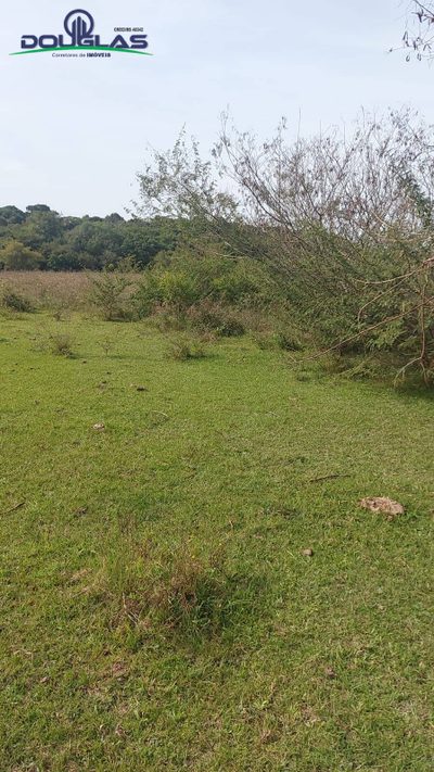 Terreno, 4 hectares - Foto 4