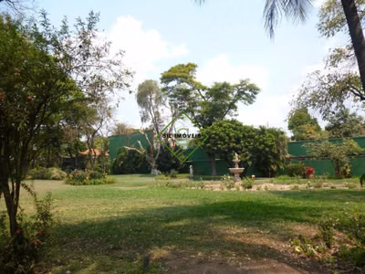 Terreno, 5500 m² - Foto 5