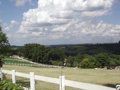 Fazenda, 33 hectares - Foto 3