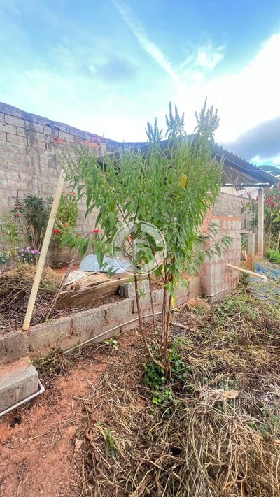 Terreno - Foto 2