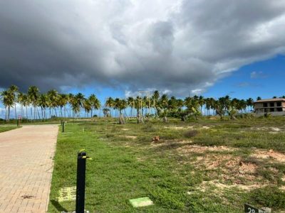 Terreno, 700 m² - Foto 4