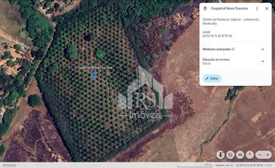 Terreno, 6 hectares - Foto 3