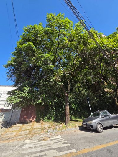 Terreno, 1000 m² - Foto 3