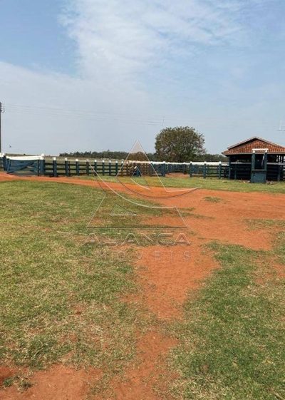 Fazenda, 457 hectares - Foto 2