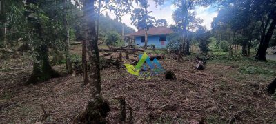 Chácara, 4 quartos, 6208 m² - Foto 4