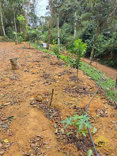 Fazenda, 2 hectares - Foto 1