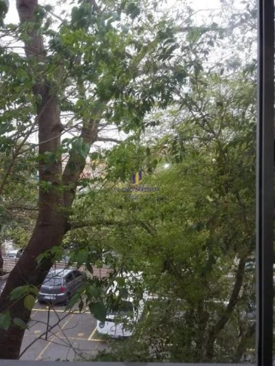 Apartamento, 3 quartos, 52 m² - Foto 4