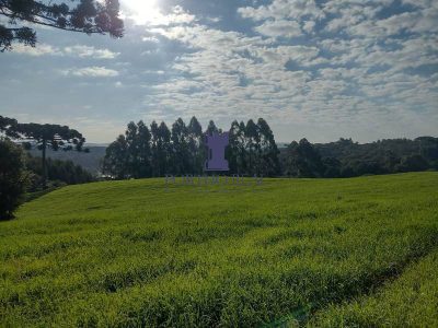 Terreno - Foto 2