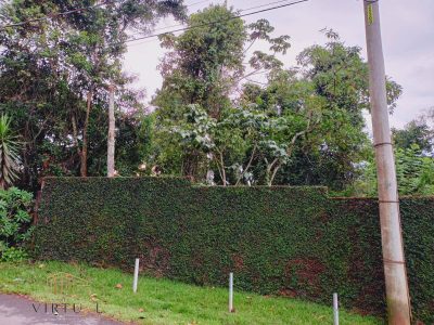 Terreno, 1000 m² - Foto 3