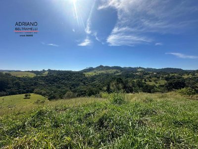 Terreno, 3 hectares - Foto 4
