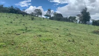 Chácara, 1 quarto, 19 hectares - Foto 4