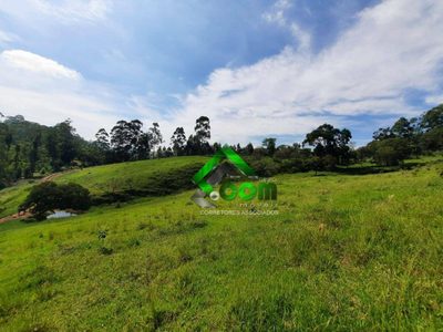 Terreno, 2 hectares - Foto 2