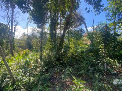 Terreno, 500 m² - Foto 1