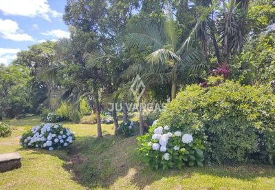 Sítio, 3 quartos, 5000 m² - Foto 5