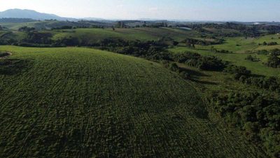 Fazenda, 109 hectares - Foto 3