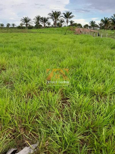 Sítio, 1 quarto, 6 hectares - Foto 4