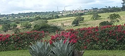 Chácara, 5 quartos, 3 hectares - Foto 2